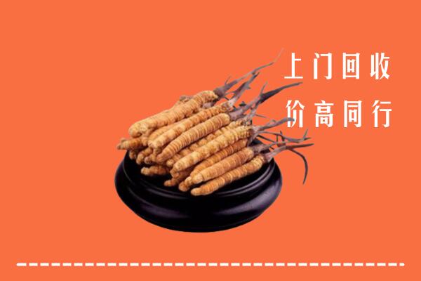 收购行情：茌平区冬虫夏草回收多少钱每克